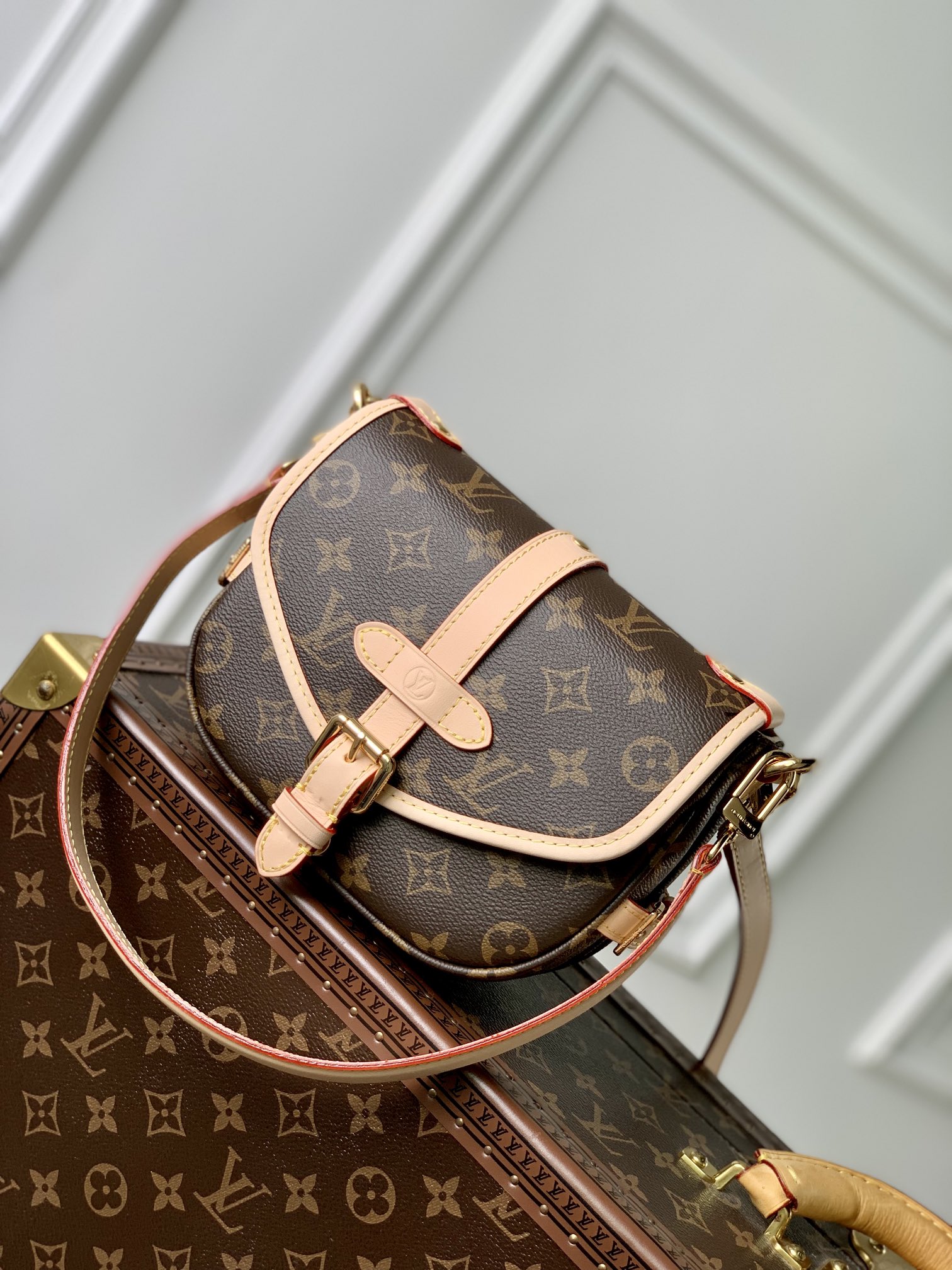 LV Satchel bags